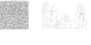 photoshop风格图片