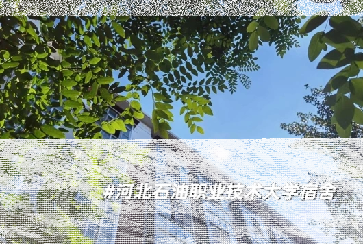 河北工业大学