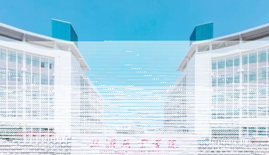 特色