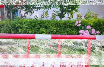 医学部