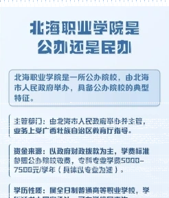 实训