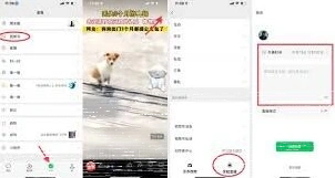 微信视频