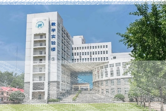 学校