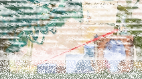 纸片少女攻略