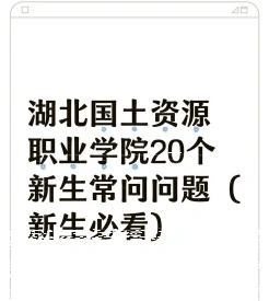 学校