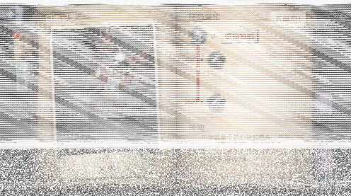 第五人格图鉴