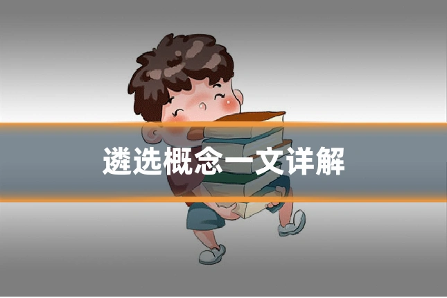 遴选概念一文详解