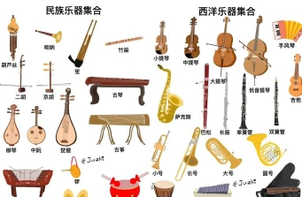专业