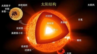 生物
