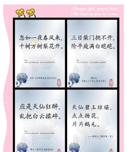 美的