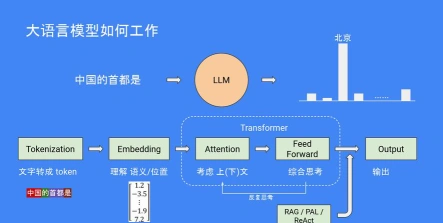 语言模型