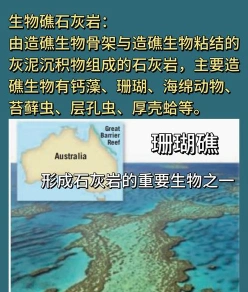 生物