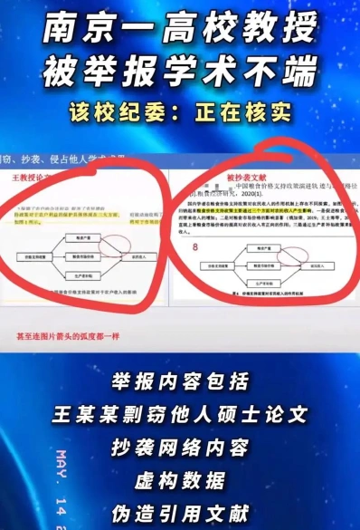 抄袭