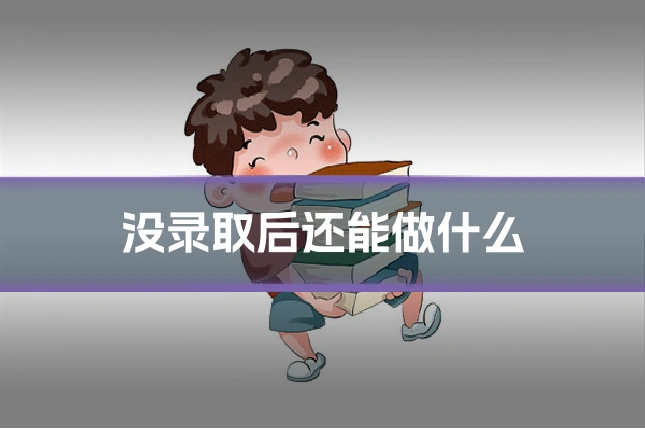 没录取后还能做什么