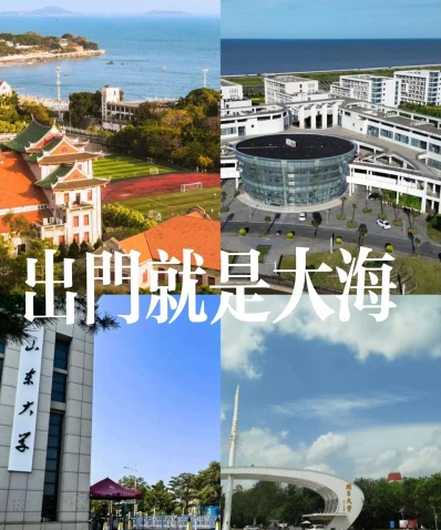 大学