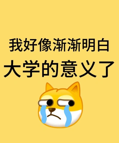 能力