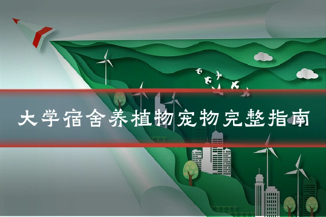 大学宿舍养植物宠物完整指南