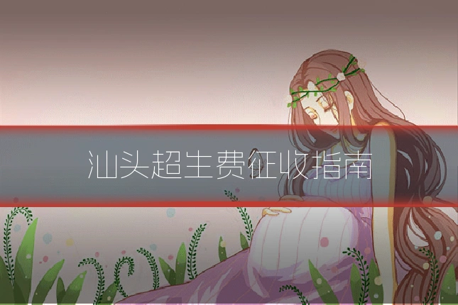 汕头超生费征收指南