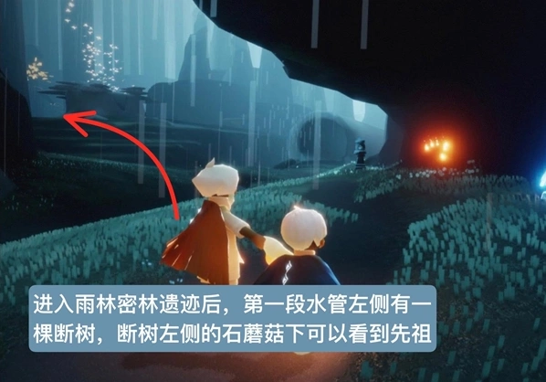 光遇雨林磕头先祖位置玩法