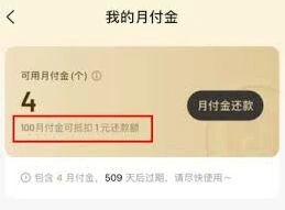 抖音月付