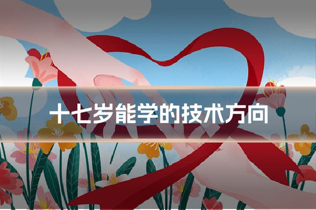 十七岁能学的技术方向