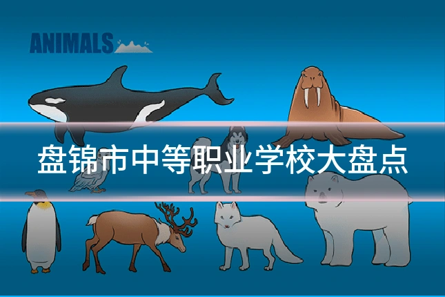 盘锦市中等职业学校大盘点