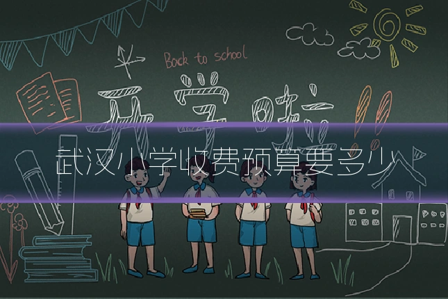 武汉小学收费预算要多少