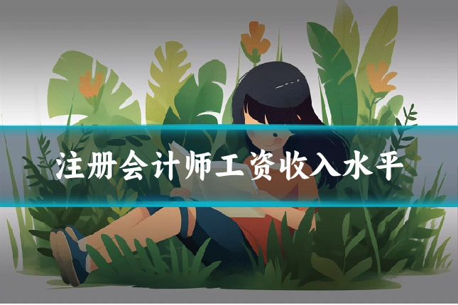 注册会计师工资收入水平
