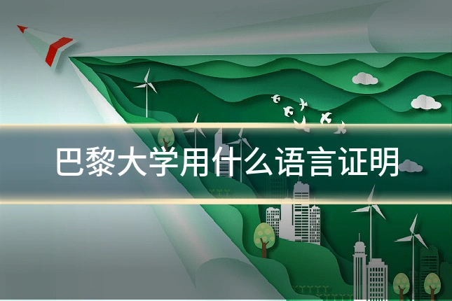 巴黎大学用什么语言证明