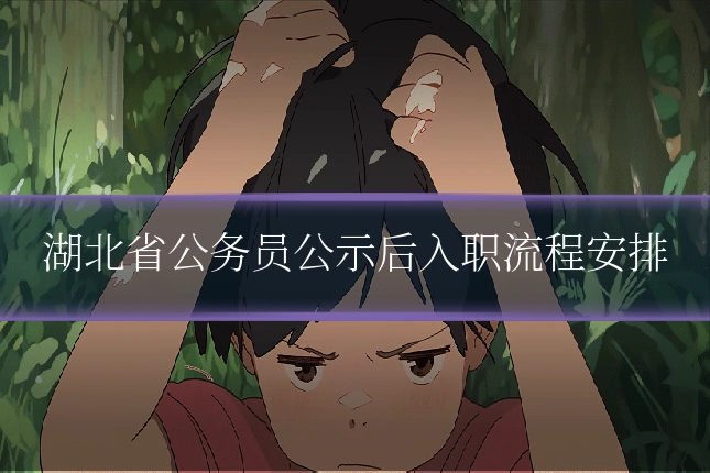 湖北省公务员公示后入职流程安排