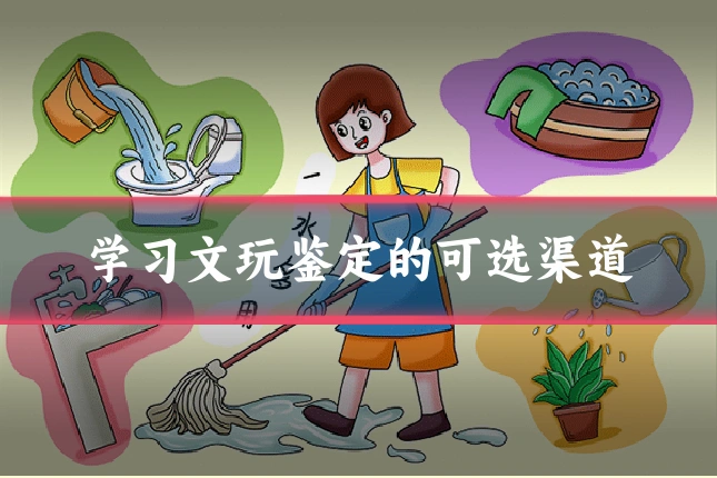 学习文玩鉴定的可选渠道