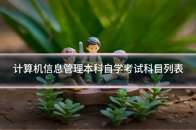 计算机信息管理本科自学考试科目列表