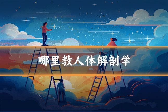 哪里教人体解剖学