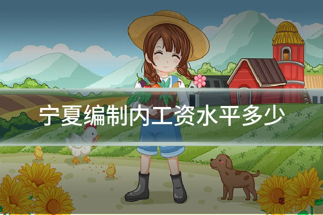 宁夏编制内工资水平多少