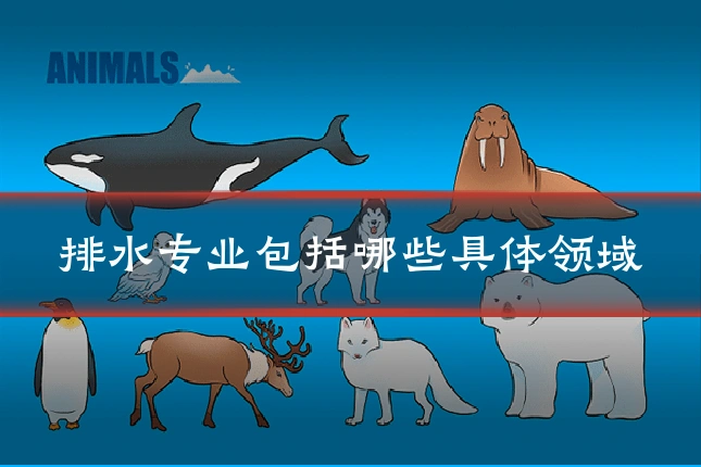 排水专业包括哪些具体领域