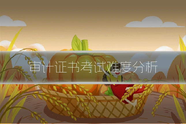 审计证书考试难度分析