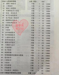 专科专业