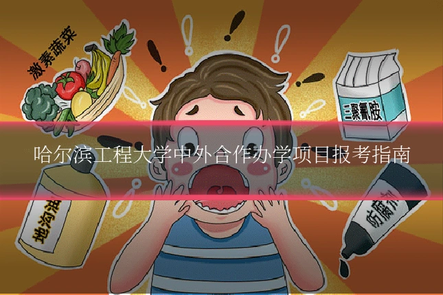 哈尔滨工程大学中外合作办学项目报考指南