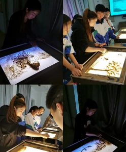 沙画学费