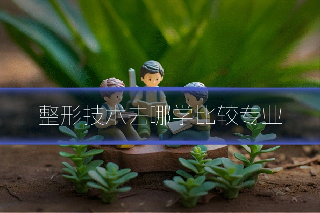 整形技术去哪学比较专业