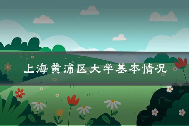 上海黄浦区大学基本情况
