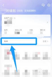 抖音退款记录查询技巧与案例分析