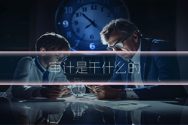 审计是干什么的