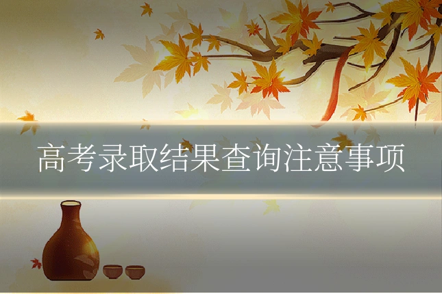高考录取结果查询注意事项