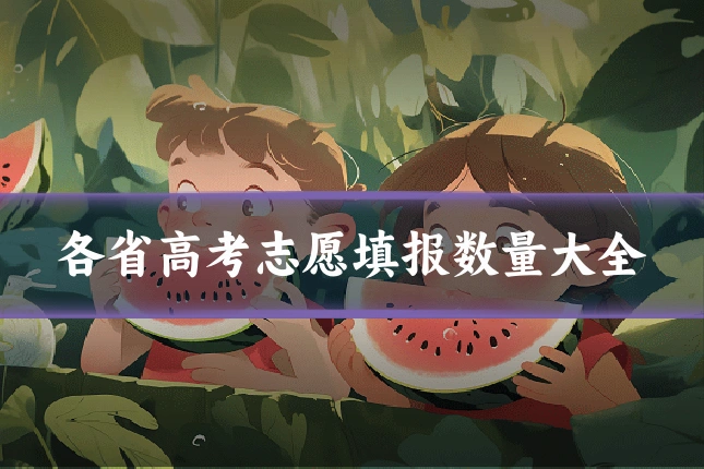 各省高考志愿填报数量大全