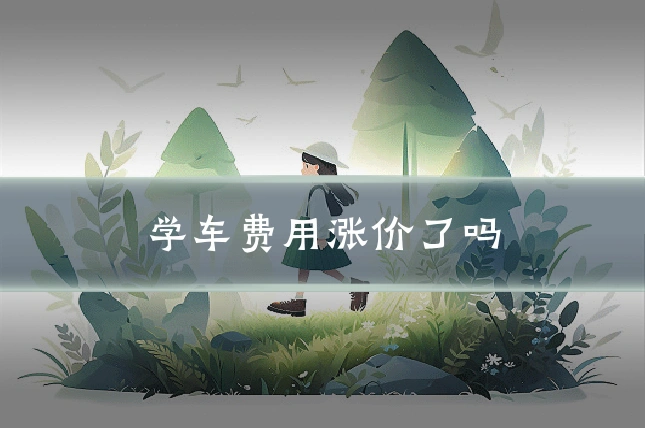 学车费用涨价了吗