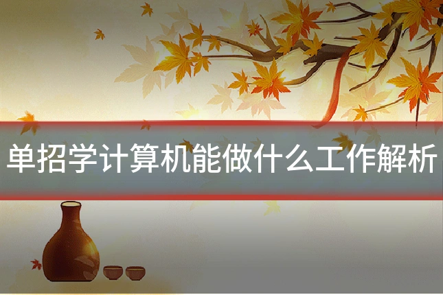 单招学计算机能做什么工作解析