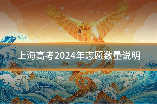 上海高考2024年志愿数量说明
