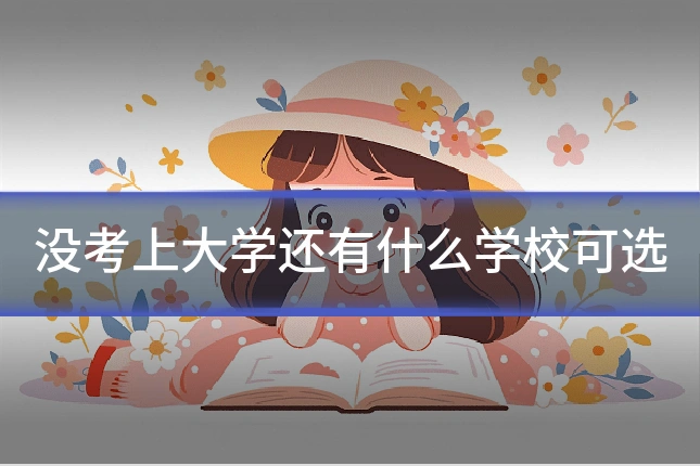 没考上大学还有什么学校可选