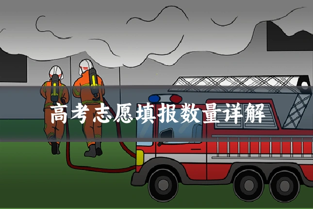 高考志愿填报数量详解